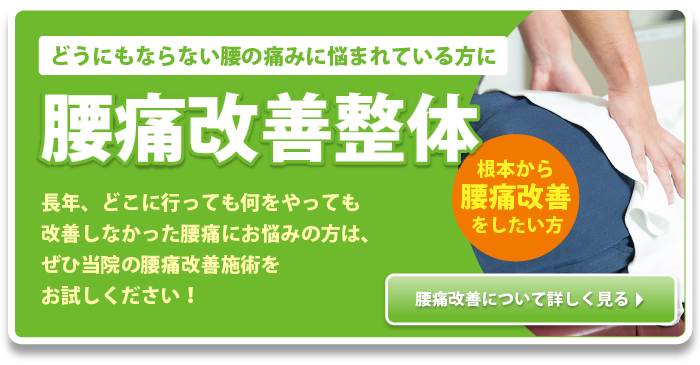 どうにもならない腰の痛みに悩まれている方に 腰痛改善治療 長年、どこに行っても何をやっても改善しなかった腰痛にお悩みの方は、ぜひ当院の腰痛改善施術をお試しください!